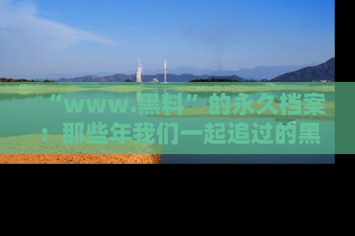 “www.黑料”的永久档案:那些年我们一起追过的黑料真相