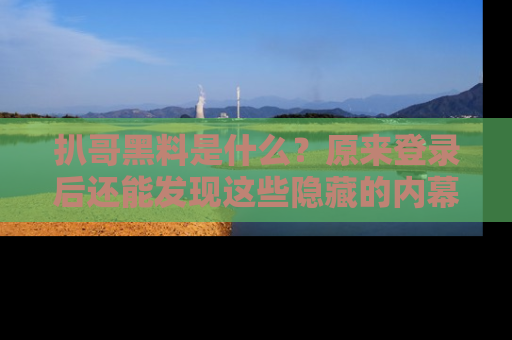 扒哥黑料是什么?原来登录后还能发现这些隐藏的内幕!