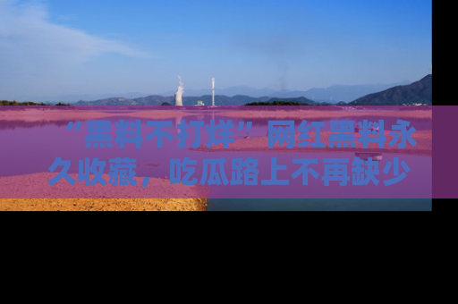 “黑料不打烊”网红黑料永久收藏,吃瓜路上不再缺少惊喜与乐趣