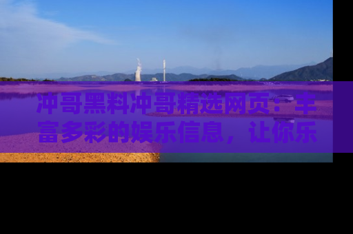 冲哥黑料冲哥精选网页：丰富多彩的娱乐信息，让你乐不停息