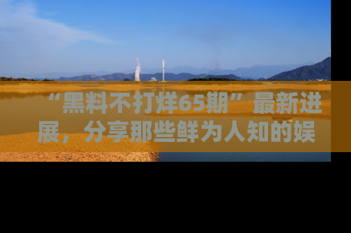 “黑料不打烊65期”最新进展,分享那些鲜为人知的娱乐八卦