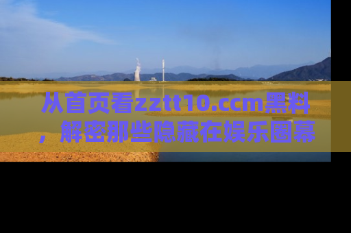 从首页看zztt10.ccm黑料，解密那些隐藏在娱乐圈幕后的丑闻故事！