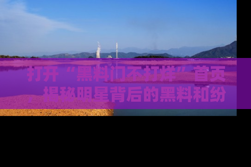 打开“黑料门不打烊”首页，揭秘明星背后的黑料和纷争真相！