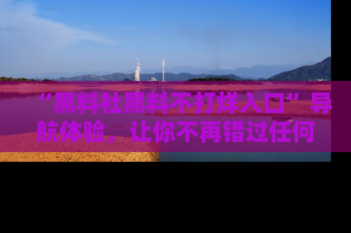 “黑料社黑料不打烊入口”导航体验,让你不再错过任何精彩黑料