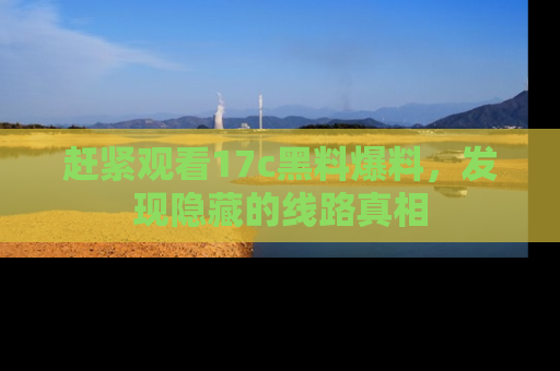 赶紧观看17c黑料爆料，发现隐藏的线路真相