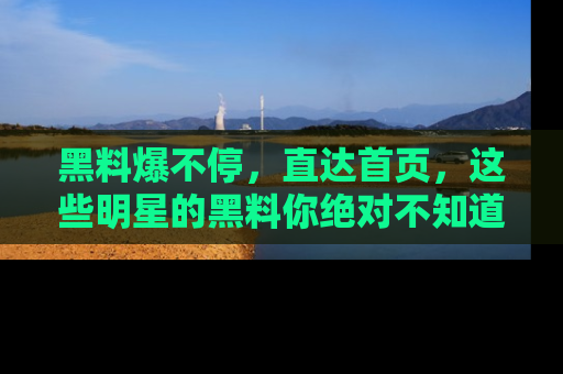 黑料爆不停，直达首页，这些明星的黑料你绝对不知道！