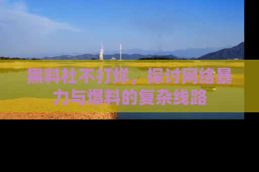 黑料社不打烊，探讨网络暴力与爆料的复杂线路