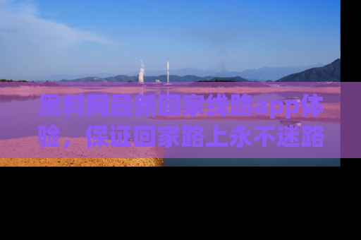 黑料网最新回家线路app体验，保证回家路上永不迷路顺畅