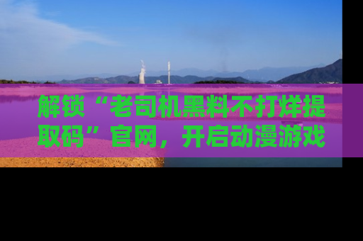 解锁“老司机黑料不打烊提取码”官网，开启动漫游戏的新次元之旅！