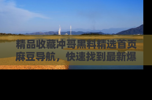 精品收藏冲哥黑料精选首页麻豆导航，快速找到最新爆料