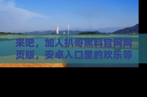 来吧，加入扒哥黑料官网网页版，安卓入口里的欢乐等着你！