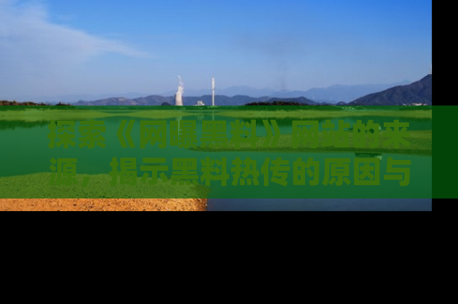 探索《网曝黑料》网站的来源，揭示黑料热传的原因与影响