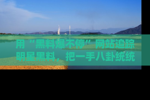 用“黑料爆不停”网站追踪明星黑料，把一手八卦统统收进你的后宫中！