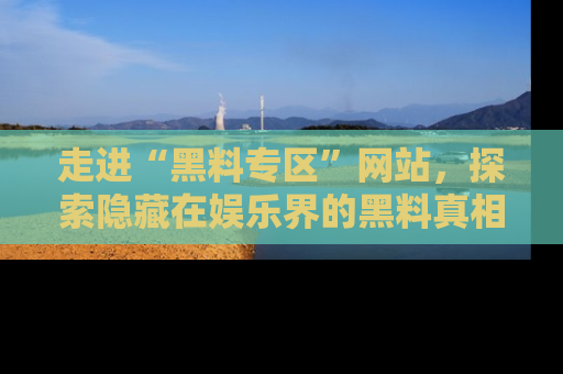 走进“黑料专区”网站,探索隐藏在娱乐界的黑料真相